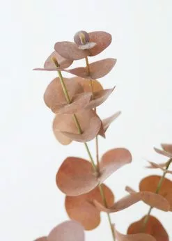 Afloral Artificial Plants Terracotta Artificial Spiral Eucalyptus Leaves - 34"