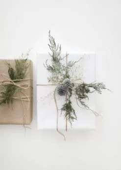 Afloral Dried Flowers Blue Dried Echinops Globe Thistles - 16-22