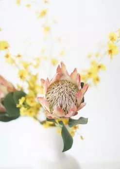 Afloral Coral Yellow Artificial King Protea - 29