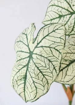 Afloral Variegated Tropical Caladium Fake Leaf Plant - 23"