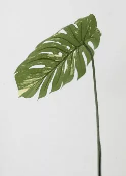 Afloral Artificial Philodendron Tropical Leaf - 23.5