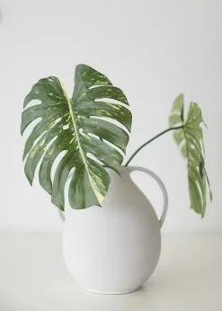 Afloral Artificial Philodendron Tropical Leaf - 23.5" Artificial Plants