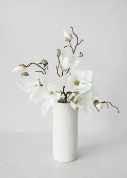 Afloral Silk Magnolia In Cream White - 19