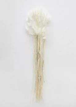 Afloral White Dried Bunny Tails - 18-28"