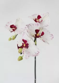 Afloral White Artificial Phalaenopsis Orchid - 32"