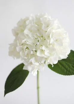 Afloral Real Touch Hydrangea In Talc White - 18