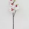 Afloral White Artificial Phalaenopsis Orchid - 32"