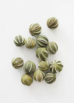 Afloral Bag Of 14 Natural Dried Limes - 1.75-2.25" Dried Flowers