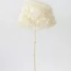 Afloral Dried Hydrangea In Cream - 22-24"