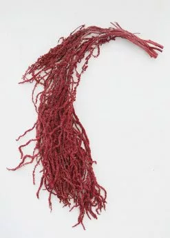 Afloral Burgundy Preserved Hanging Amaranthus - 32-40"