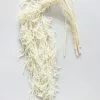 Afloral White Preserved Hanging Amaranthus - 32-40" Dried Flowers