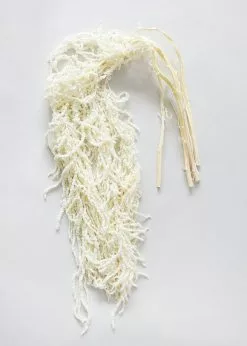 Afloral White Preserved Hanging Amaranthus - 32-40