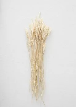 Afloral Dried Flowers Dried Petite Arrow Grass - 12"