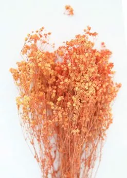 Afloral Orange Preserved Baby's Breath - 24-32" Dried Flowers