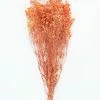 Afloral Orange Preserved Baby's Breath - 24-32" Dried Flowers