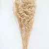 Afloral Dried Flowers Ivory Preserved Baby's Breath - 24-32"