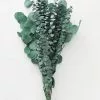 Afloral Preserved Mixed Eucalyptus Bundle - 20-26" Dried Flowers