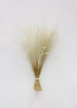 Afloral Off-White Ornamental Feather Grass - 8-12"