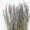 Afloral Dried Flowers Dried Lavender Wildflowers - 15-22"