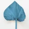 Afloral Blue Dried Palm Spear - 14-16" Dried Flowers