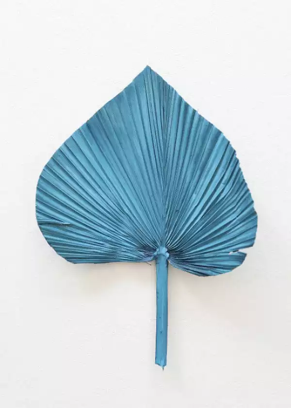 Afloral Blue Dried Palm Spear - 14-16" Dried Flowers