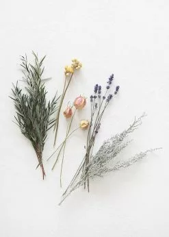 Afloral Petite Dried Flower Bundle - 6-12
