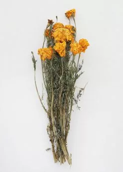 Afloral Yellow Dried Marigold Flowers - 14-22" Dried Flowers