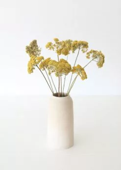 Afloral Dried Natural Yarrow Flowers - 18-24
