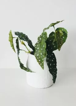 Afloral Artificial Plants Artificial Angel Wing Begonia Leaf Plant - 12"