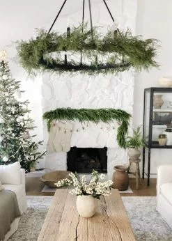 Afloral Dried Flowers Preserved Greenery Asparagus Fern - 22-34