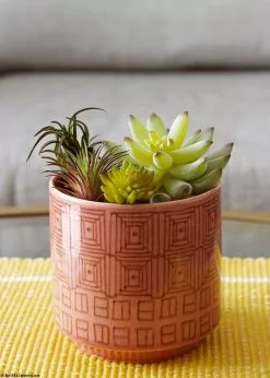 Afloral Artificial Plants Artificial Flocked Succulents Agave Cactus - 4