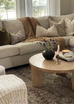 Afloral Dried Flowers Blue Dried Echinops Globe Thistles - 16-22"