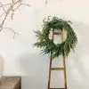 Afloral Real Touch Norfolk Pine Wreath - 24" Artificial Plants